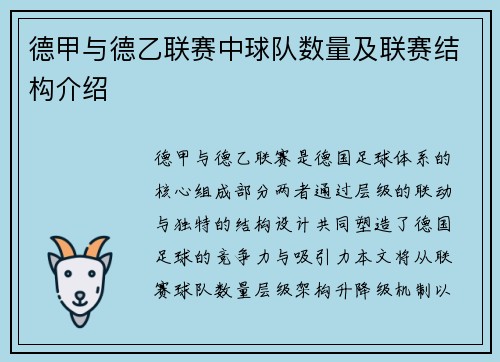 德甲与德乙联赛中球队数量及联赛结构介绍